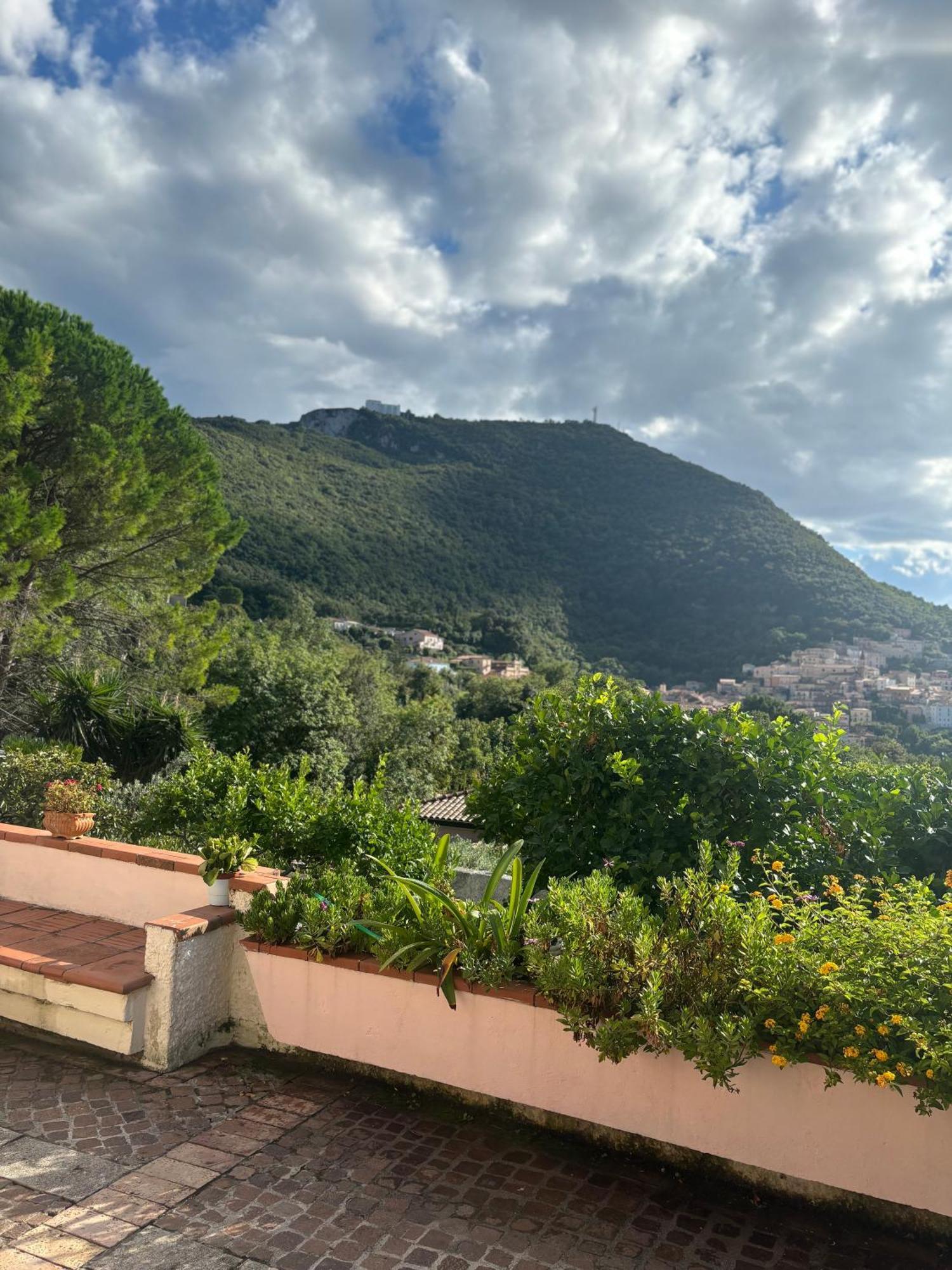 Casa Vacanze Primavera Maratea Extérieur photo